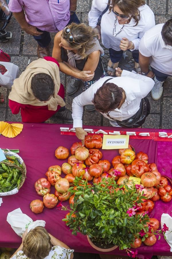 Javier Sampedro y Francisca Allo, ambos de Lardero, han ganado el 50 Concurso Agrícola de La Rioja en las categorías de frutas y hortalizas, respectivamente. Numeroso público ha disfrutado del sol radiante que ha lucido este domingo en Logroño y ha visitado los puestos instalados por 14 agricultores en la céntrica calle Portales, donde también se han podido adquirir los productos de la huerta riojana. Esta actividad, organizada por la Fundación Caja Rioja y Bankia, ha cumplido medio siglo de historia y supone una de las citas más tradicionales como prolegómeno a las fiestas de la vendimia.