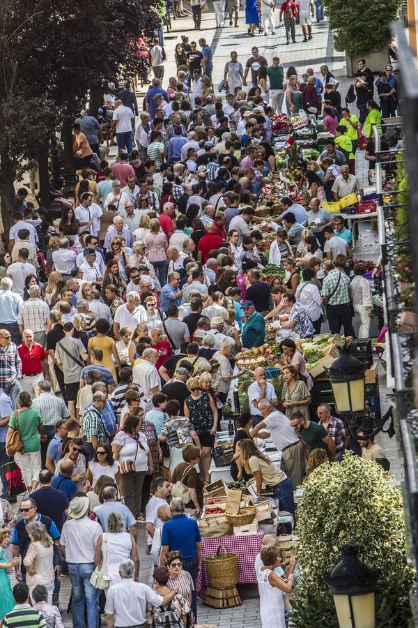 Javier Sampedro y Francisca Allo, ambos de Lardero, han ganado el 50 Concurso Agrícola de La Rioja en las categorías de frutas y hortalizas, respectivamente. Numeroso público ha disfrutado del sol radiante que ha lucido este domingo en Logroño y ha visitado los puestos instalados por 14 agricultores en la céntrica calle Portales, donde también se han podido adquirir los productos de la huerta riojana. Esta actividad, organizada por la Fundación Caja Rioja y Bankia, ha cumplido medio siglo de historia y supone una de las citas más tradicionales como prolegómeno a las fiestas de la vendimia.