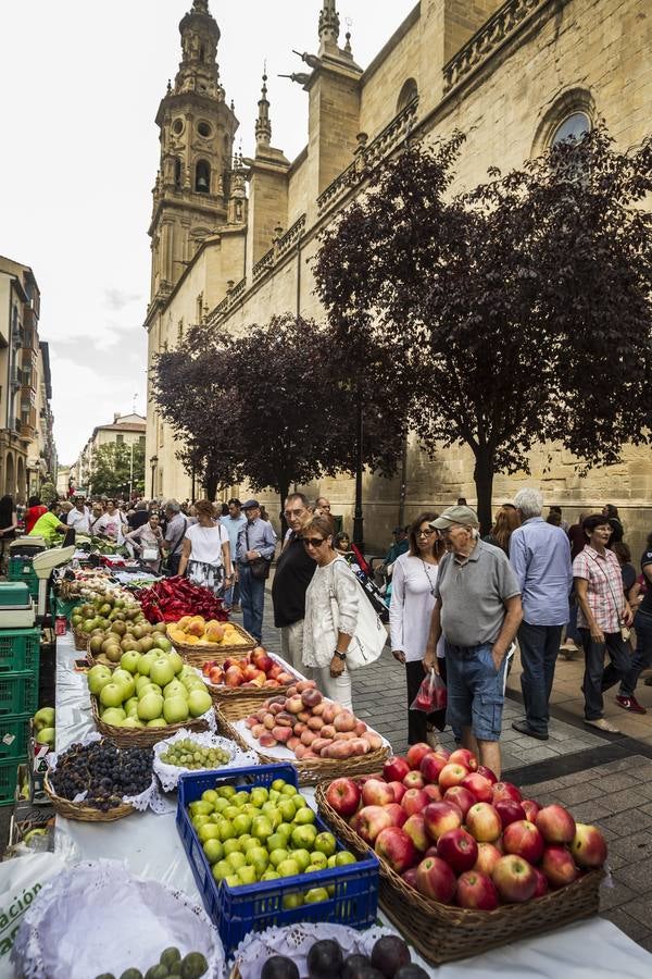 Javier Sampedro y Francisca Allo, ambos de Lardero, han ganado el 50 Concurso Agrícola de La Rioja en las categorías de frutas y hortalizas, respectivamente. Numeroso público ha disfrutado del sol radiante que ha lucido este domingo en Logroño y ha visitado los puestos instalados por 14 agricultores en la céntrica calle Portales, donde también se han podido adquirir los productos de la huerta riojana. Esta actividad, organizada por la Fundación Caja Rioja y Bankia, ha cumplido medio siglo de historia y supone una de las citas más tradicionales como prolegómeno a las fiestas de la vendimia.