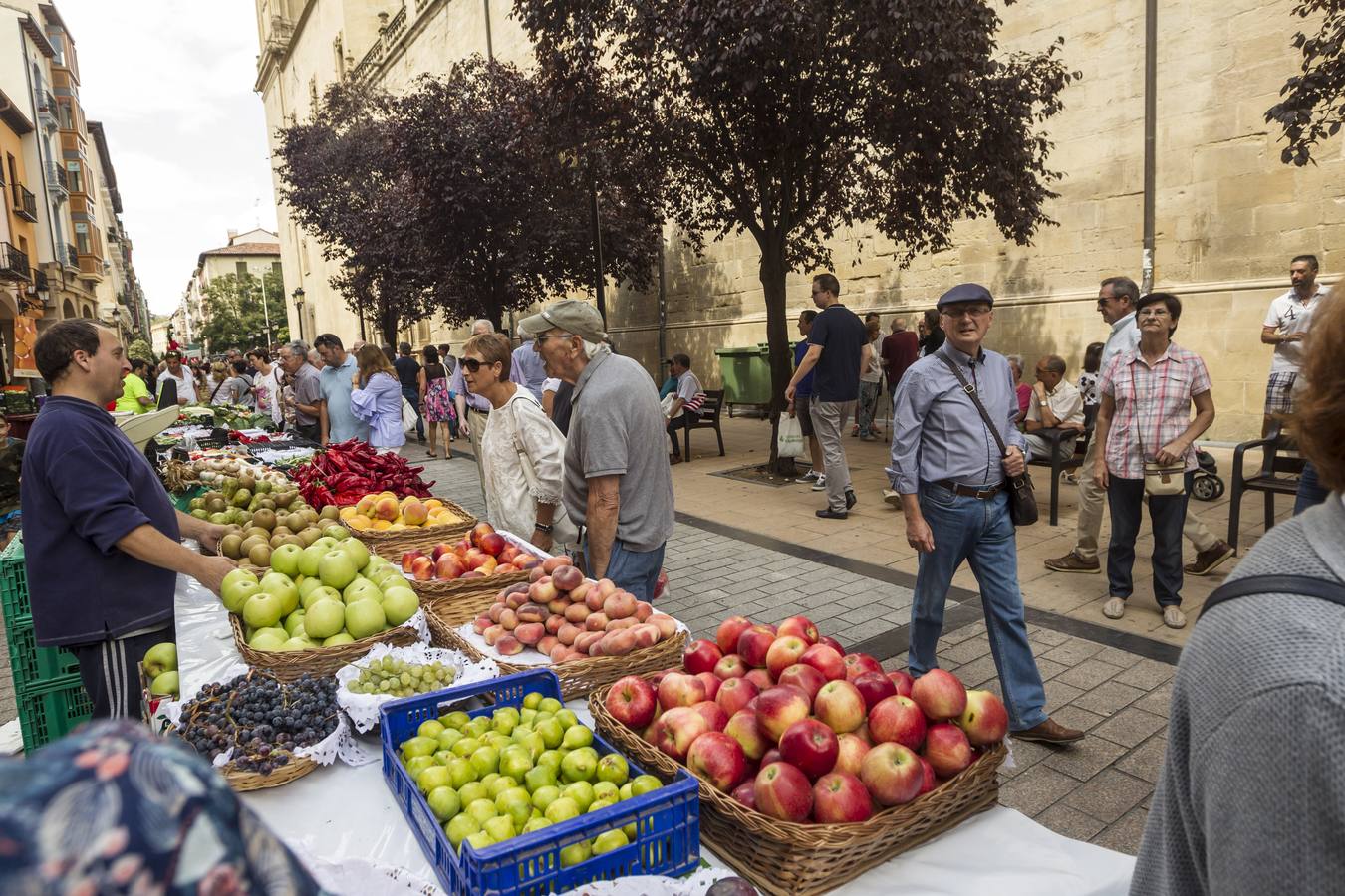 Javier Sampedro y Francisca Allo, ambos de Lardero, han ganado el 50 Concurso Agrícola de La Rioja en las categorías de frutas y hortalizas, respectivamente. Numeroso público ha disfrutado del sol radiante que ha lucido este domingo en Logroño y ha visitado los puestos instalados por 14 agricultores en la céntrica calle Portales, donde también se han podido adquirir los productos de la huerta riojana. Esta actividad, organizada por la Fundación Caja Rioja y Bankia, ha cumplido medio siglo de historia y supone una de las citas más tradicionales como prolegómeno a las fiestas de la vendimia.