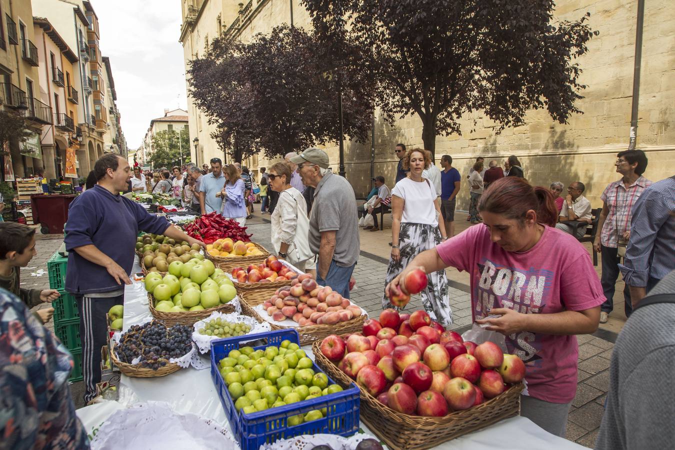 Javier Sampedro y Francisca Allo, ambos de Lardero, han ganado el 50 Concurso Agrícola de La Rioja en las categorías de frutas y hortalizas, respectivamente. Numeroso público ha disfrutado del sol radiante que ha lucido este domingo en Logroño y ha visitado los puestos instalados por 14 agricultores en la céntrica calle Portales, donde también se han podido adquirir los productos de la huerta riojana. Esta actividad, organizada por la Fundación Caja Rioja y Bankia, ha cumplido medio siglo de historia y supone una de las citas más tradicionales como prolegómeno a las fiestas de la vendimia.