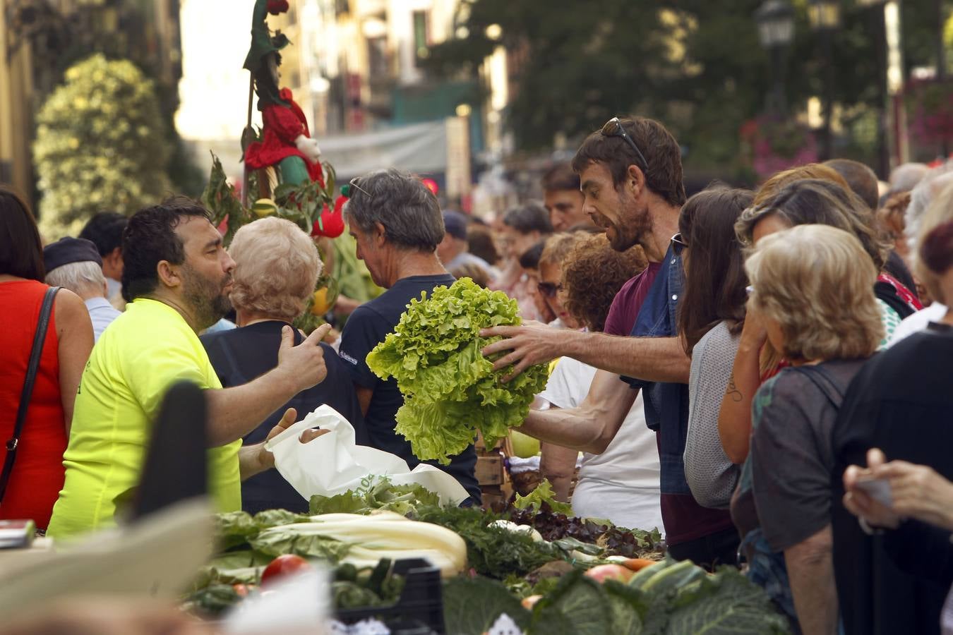 Javier Sampedro y Francisca Allo, ambos de Lardero, han ganado el 50 Concurso Agrícola de La Rioja en las categorías de frutas y hortalizas, respectivamente. Numeroso público ha disfrutado del sol radiante que ha lucido este domingo en Logroño y ha visitado los puestos instalados por 14 agricultores en la céntrica calle Portales, donde también se han podido adquirir los productos de la huerta riojana. Esta actividad, organizada por la Fundación Caja Rioja y Bankia, ha cumplido medio siglo de historia y supone una de las citas más tradicionales como prolegómeno a las fiestas de la vendimia.