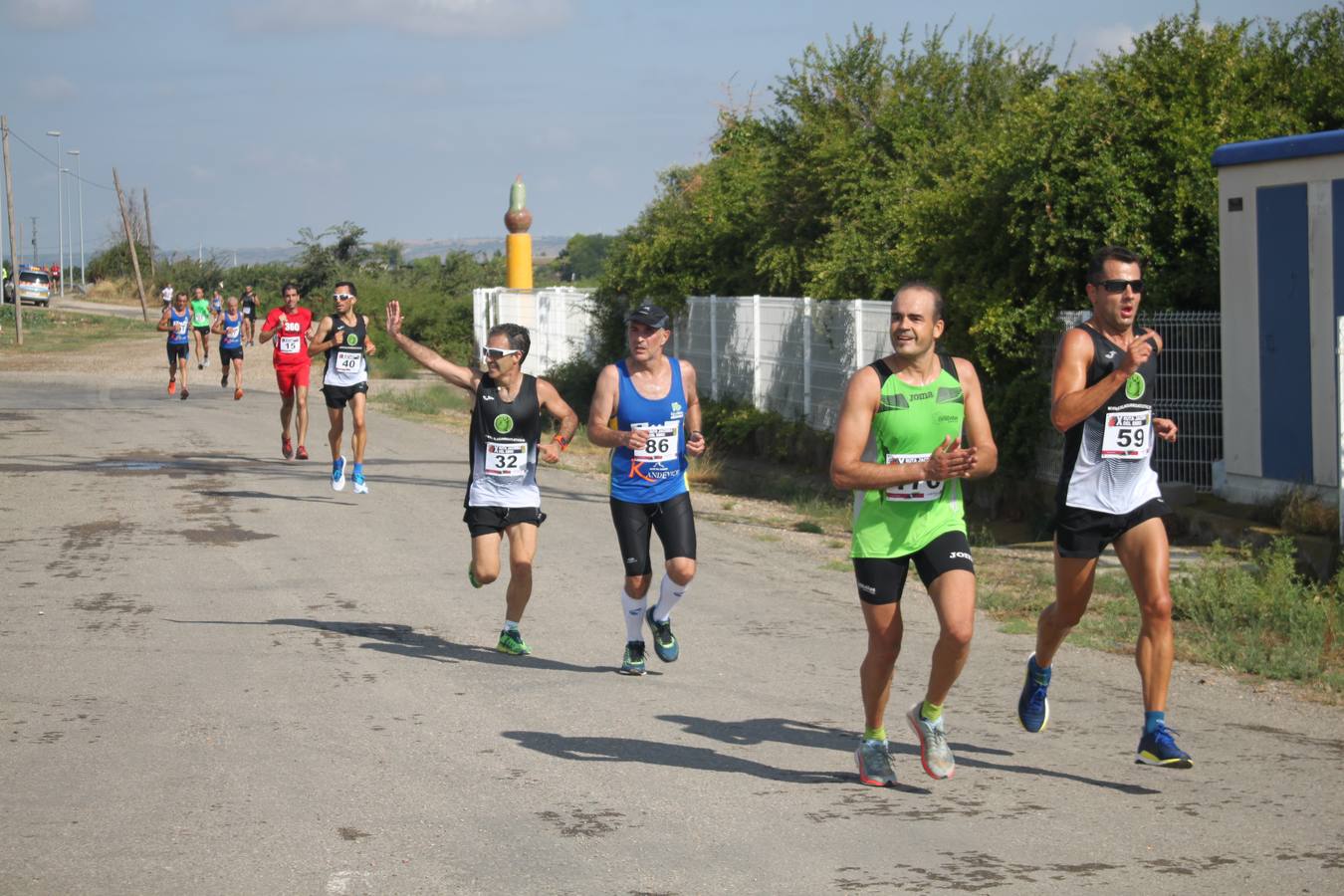 Fotos: La X Ruta Jacobea del Ebro reúne a 200 corredores