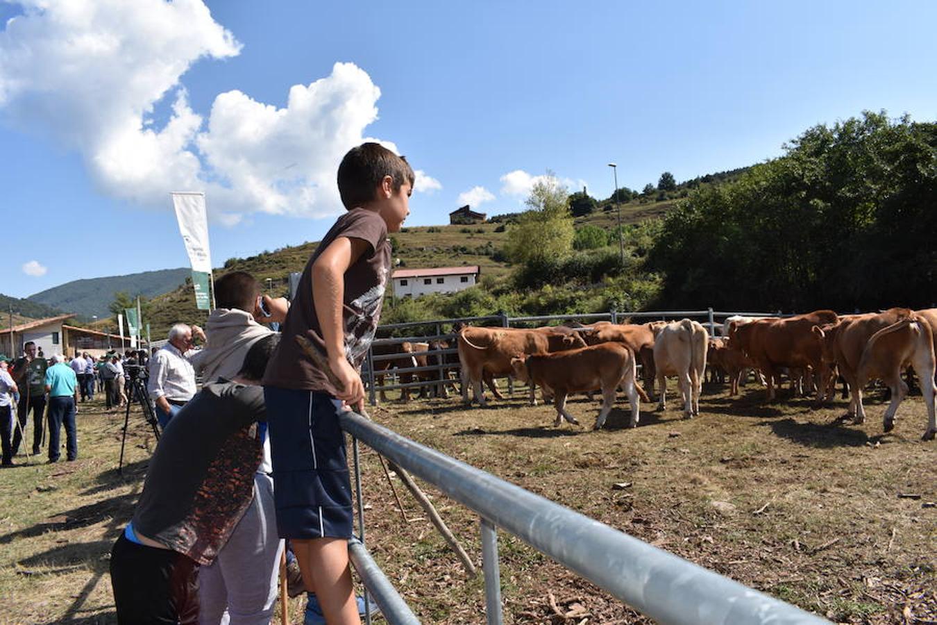 Gobierno de La Rioja y Ayuntamiento de Villoslada de Cameros, en colaboración con la Fundación Caja Rioja y Bankia, han puesto en marcha una nueva edición de la Feria Regional de Ganado que desde hace veintidós años, cada 11 de septiembre se desarrolla en la localidad serrana.