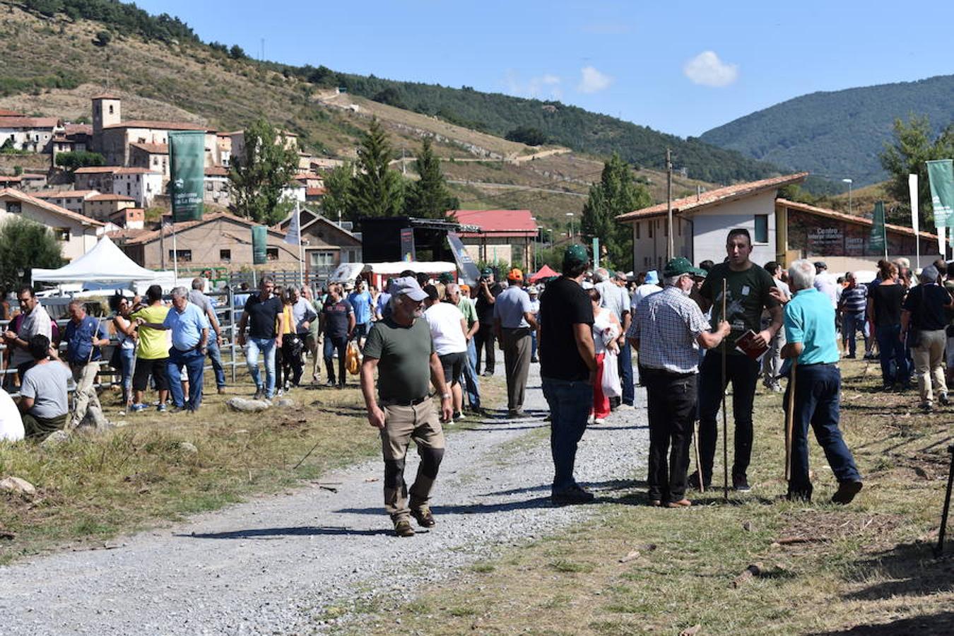 Gobierno de La Rioja y Ayuntamiento de Villoslada de Cameros, en colaboración con la Fundación Caja Rioja y Bankia, han puesto en marcha una nueva edición de la Feria Regional de Ganado que desde hace veintidós años, cada 11 de septiembre se desarrolla en la localidad serrana.