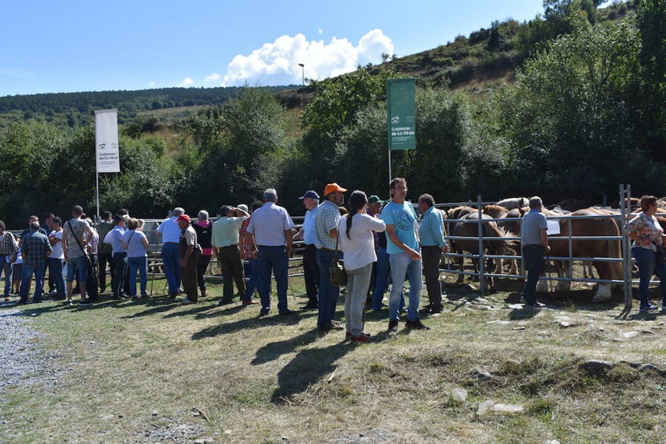 Gobierno de La Rioja y Ayuntamiento de Villoslada de Cameros, en colaboración con la Fundación Caja Rioja y Bankia, han puesto en marcha una nueva edición de la Feria Regional de Ganado que desde hace veintidós años, cada 11 de septiembre se desarrolla en la localidad serrana.