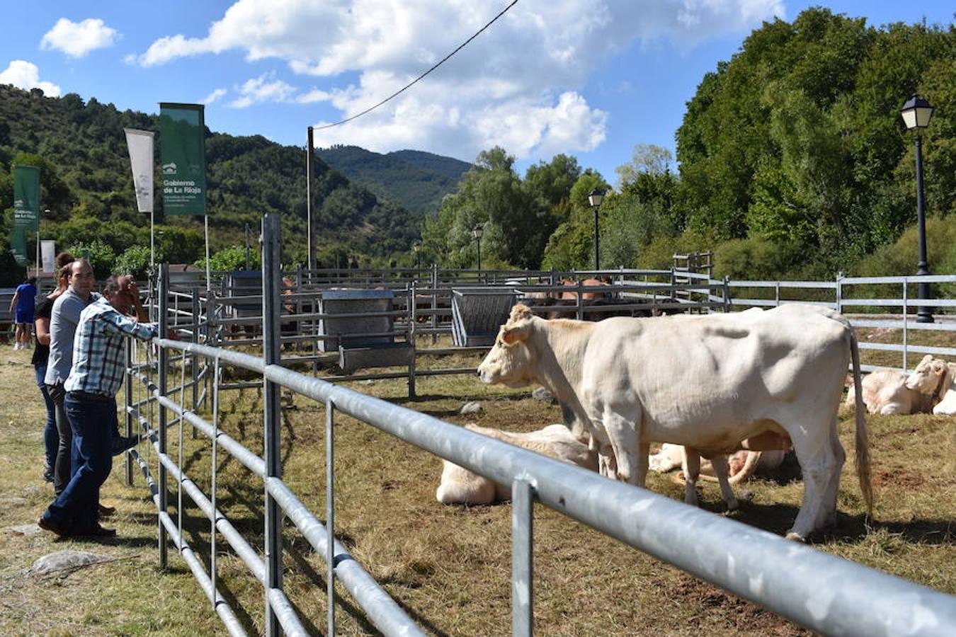 Gobierno de La Rioja y Ayuntamiento de Villoslada de Cameros, en colaboración con la Fundación Caja Rioja y Bankia, han puesto en marcha una nueva edición de la Feria Regional de Ganado que desde hace veintidós años, cada 11 de septiembre se desarrolla en la localidad serrana.