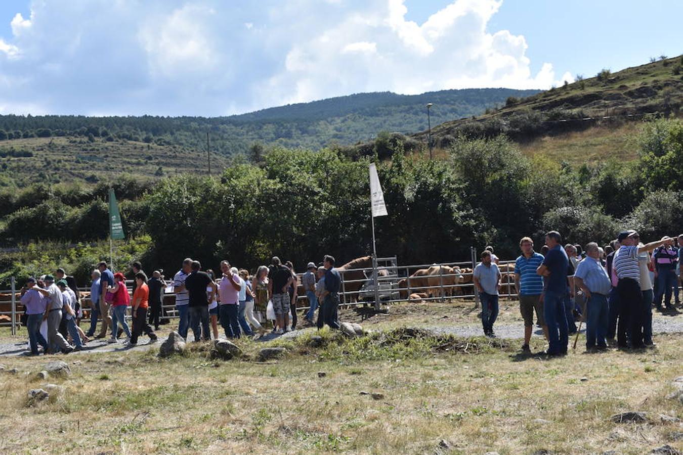 Gobierno de La Rioja y Ayuntamiento de Villoslada de Cameros, en colaboración con la Fundación Caja Rioja y Bankia, han puesto en marcha una nueva edición de la Feria Regional de Ganado que desde hace veintidós años, cada 11 de septiembre se desarrolla en la localidad serrana.