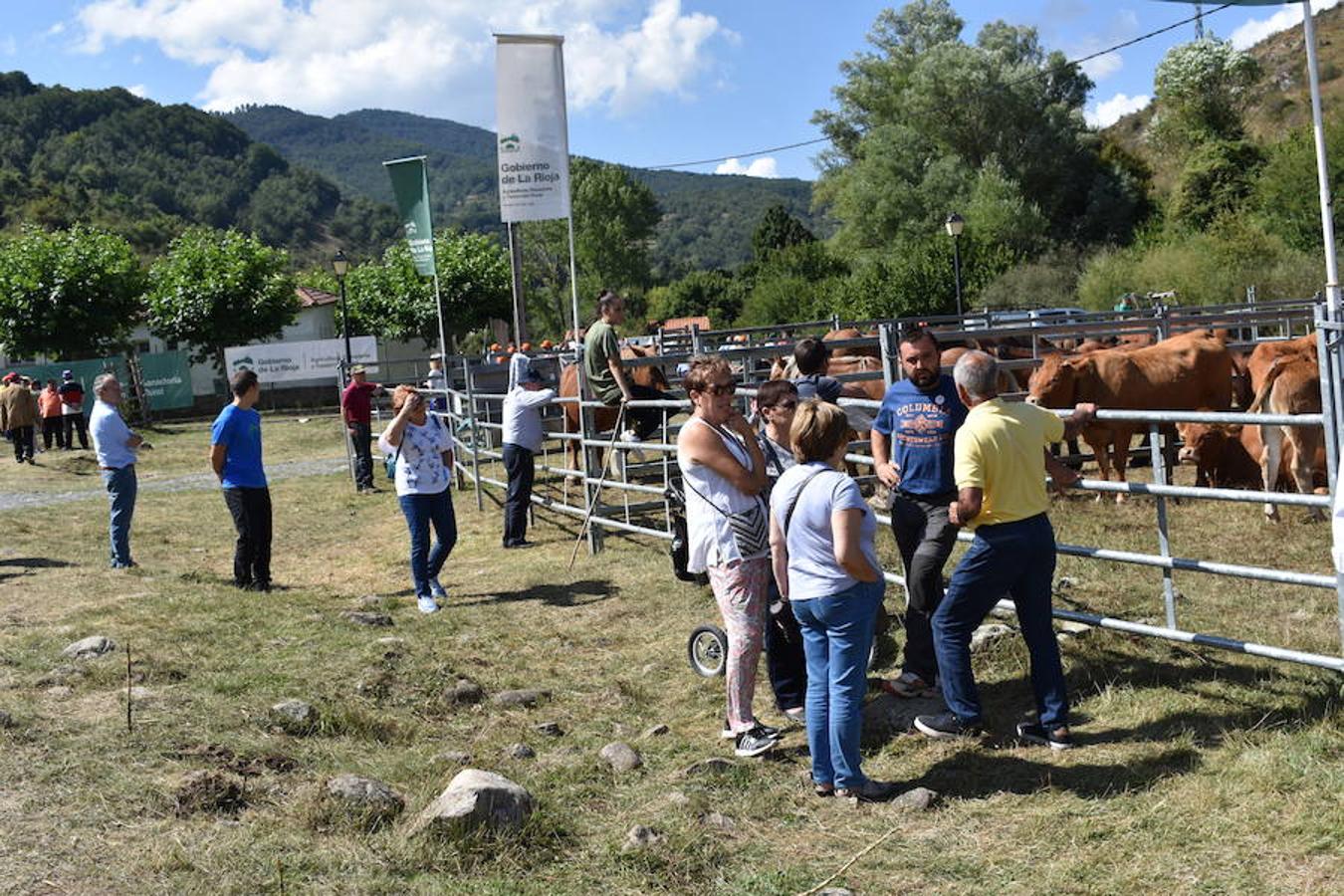 Gobierno de La Rioja y Ayuntamiento de Villoslada de Cameros, en colaboración con la Fundación Caja Rioja y Bankia, han puesto en marcha una nueva edición de la Feria Regional de Ganado que desde hace veintidós años, cada 11 de septiembre se desarrolla en la localidad serrana.