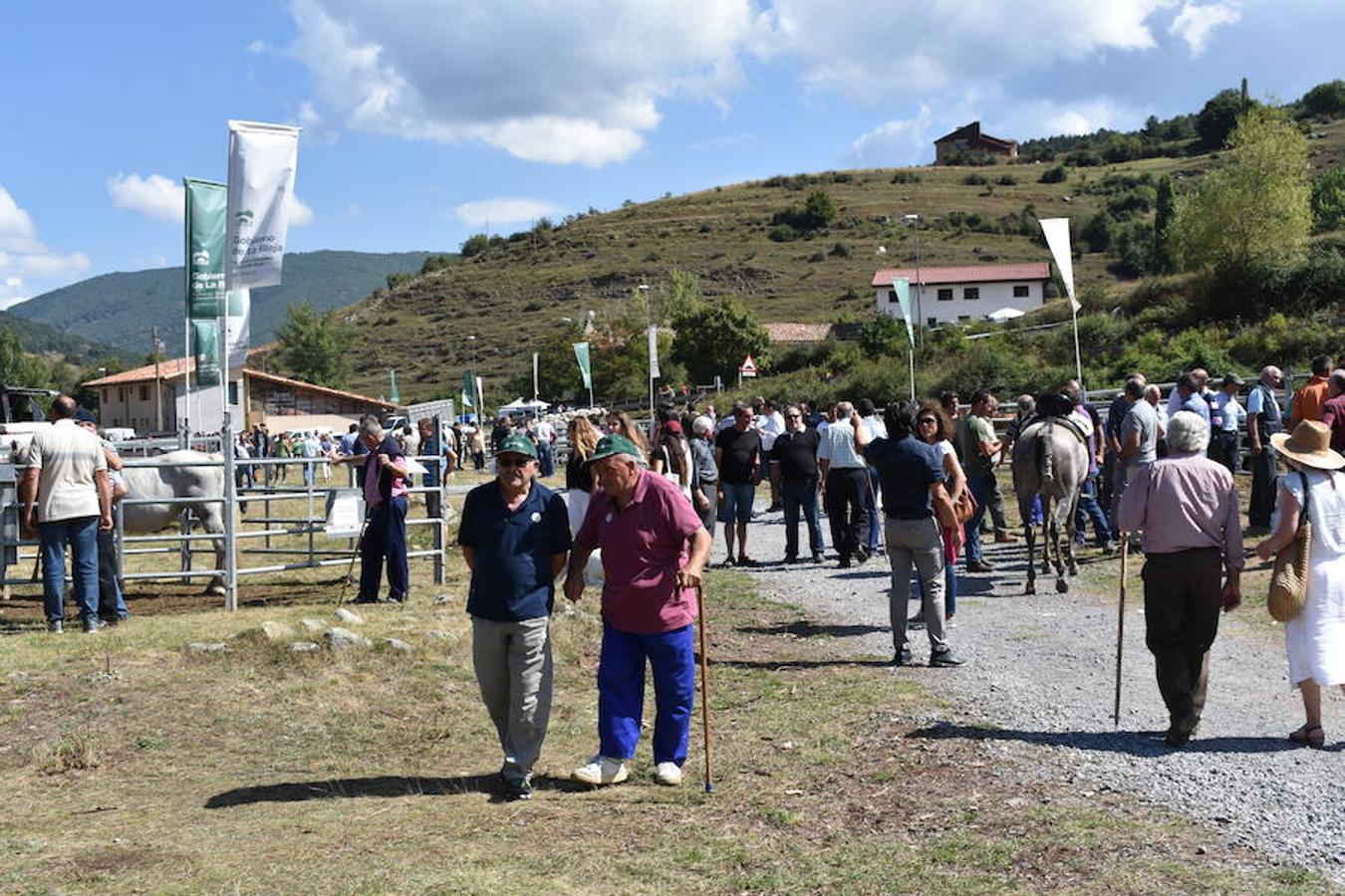 Gobierno de La Rioja y Ayuntamiento de Villoslada de Cameros, en colaboración con la Fundación Caja Rioja y Bankia, han puesto en marcha una nueva edición de la Feria Regional de Ganado que desde hace veintidós años, cada 11 de septiembre se desarrolla en la localidad serrana.