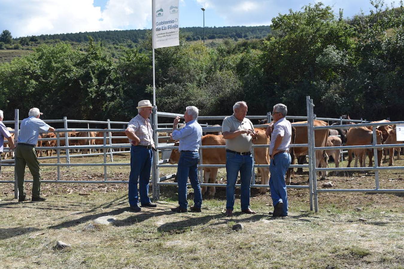 Gobierno de La Rioja y Ayuntamiento de Villoslada de Cameros, en colaboración con la Fundación Caja Rioja y Bankia, han puesto en marcha una nueva edición de la Feria Regional de Ganado que desde hace veintidós años, cada 11 de septiembre se desarrolla en la localidad serrana.