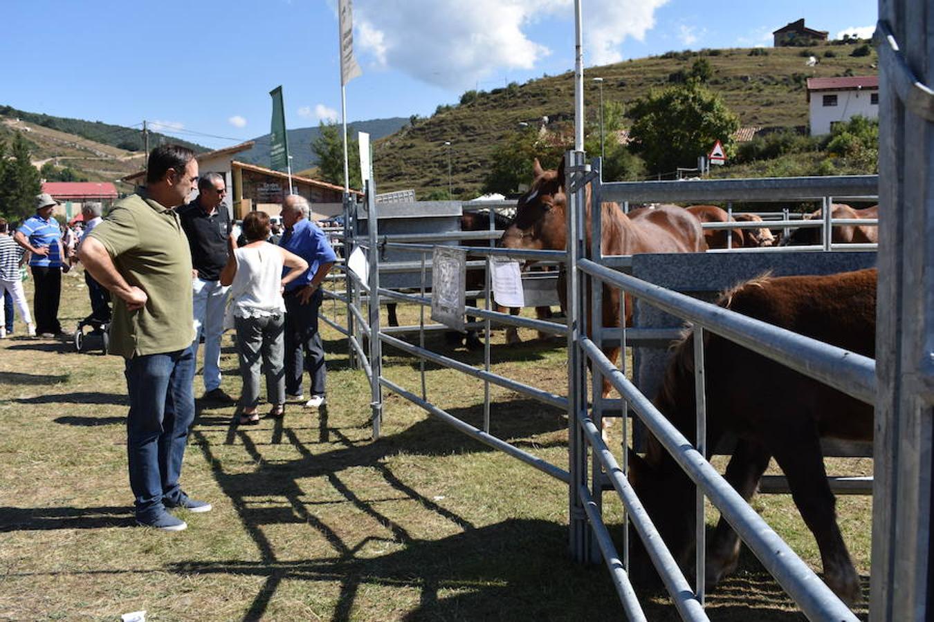 Gobierno de La Rioja y Ayuntamiento de Villoslada de Cameros, en colaboración con la Fundación Caja Rioja y Bankia, han puesto en marcha una nueva edición de la Feria Regional de Ganado que desde hace veintidós años, cada 11 de septiembre se desarrolla en la localidad serrana.