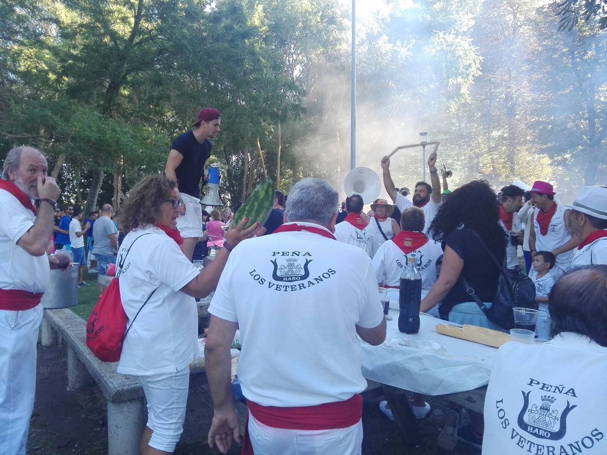 Cientos de jarreros culminan las fiestas de la vega con un recital de jolgorio