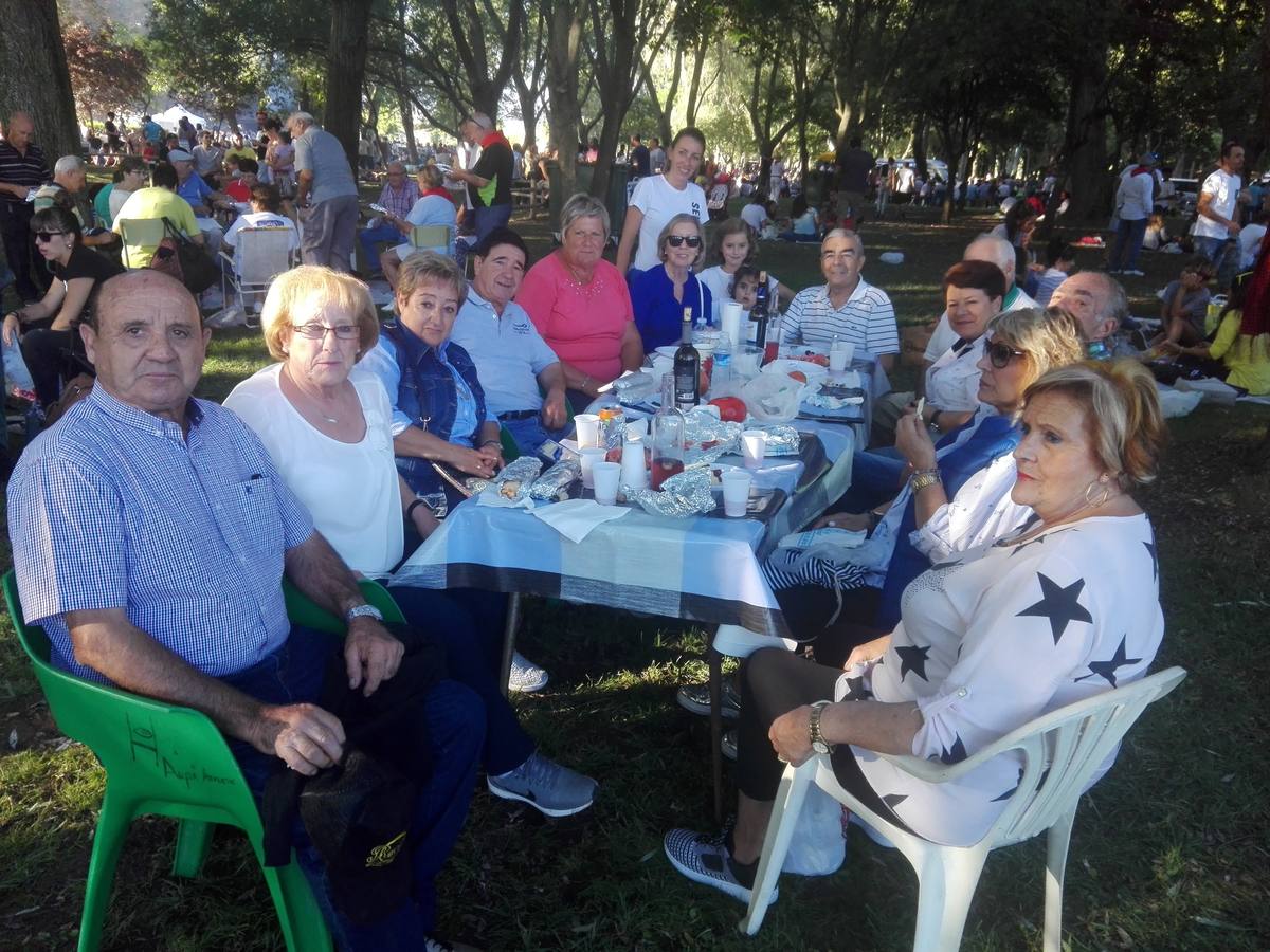 Cientos de jarreros culminan las fiestas de la vega con un recital de jolgorio