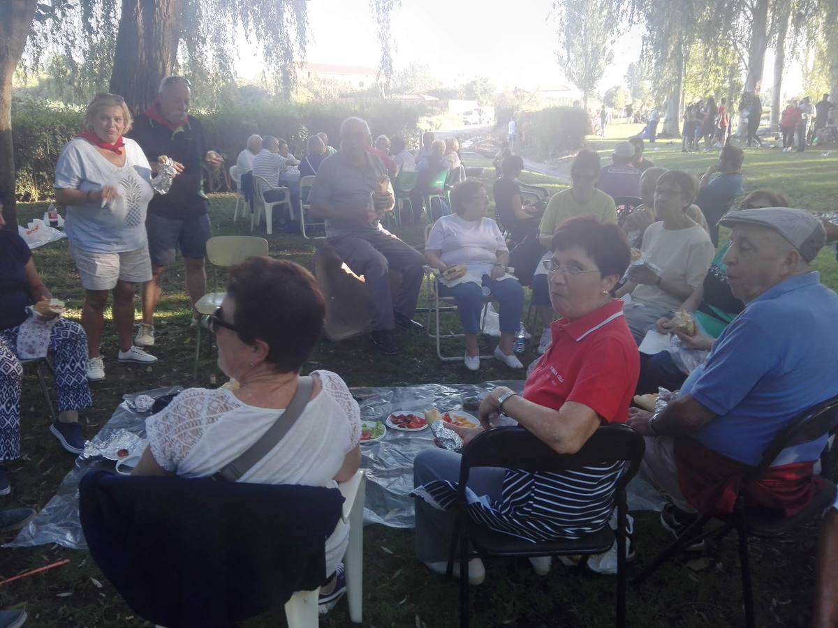 Cientos de jarreros culminan las fiestas de la vega con un recital de jolgorio