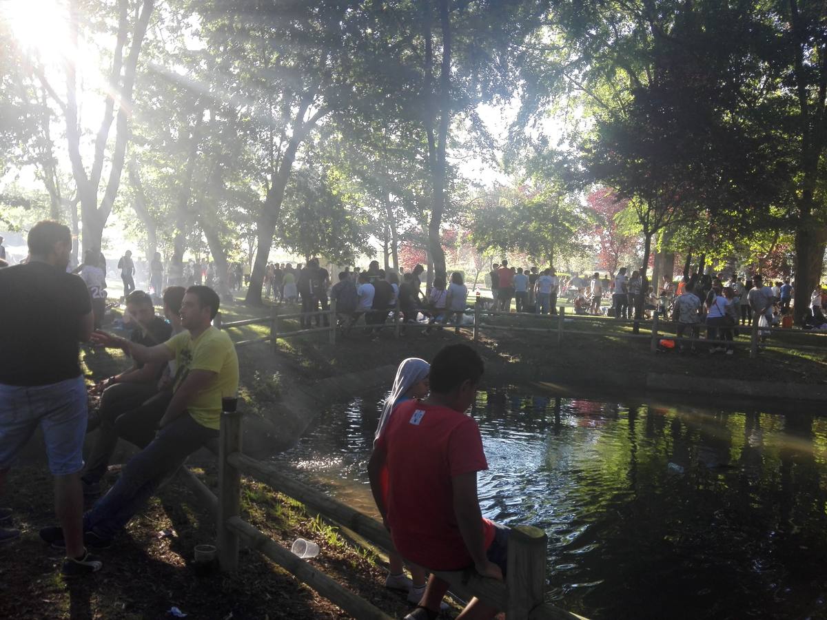 Cientos de jarreros culminan las fiestas de la vega con un recital de jolgorio