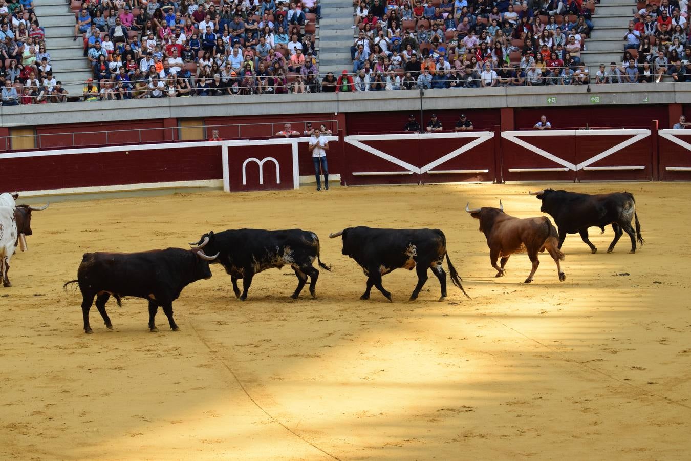 Miles de personas se dieron cita en la plaza de toros de Logroño.