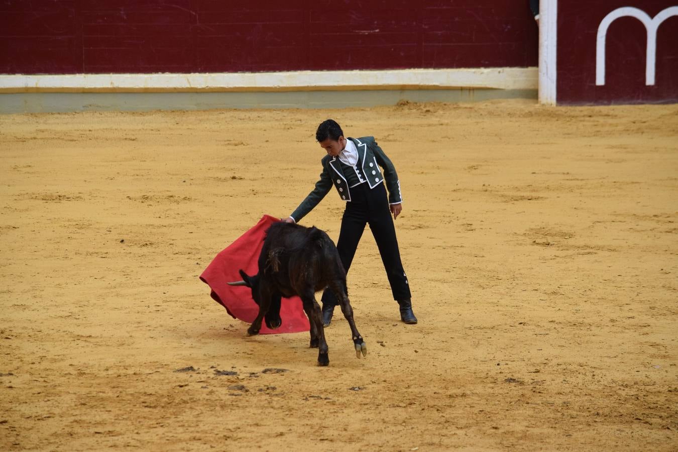 Miles de personas se dieron cita en la plaza de toros de Logroño.