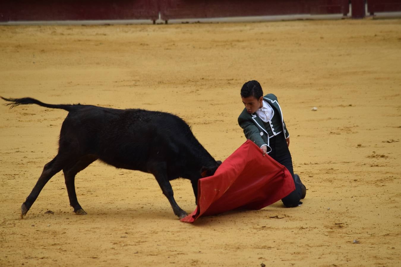 Miles de personas se dieron cita en la plaza de toros de Logroño.