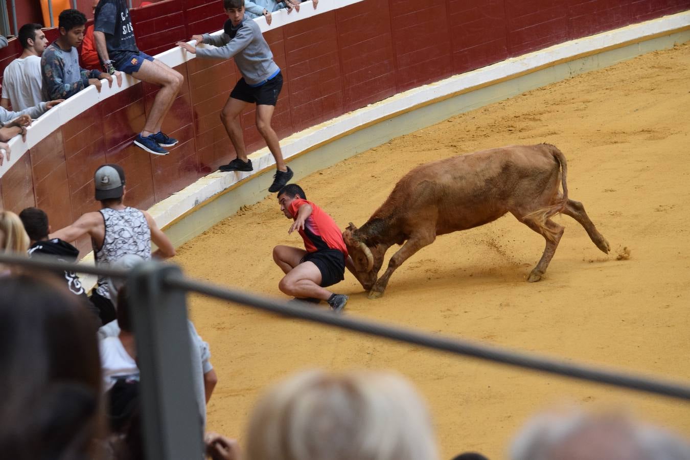 Miles de personas se dieron cita en la plaza de toros de Logroño.