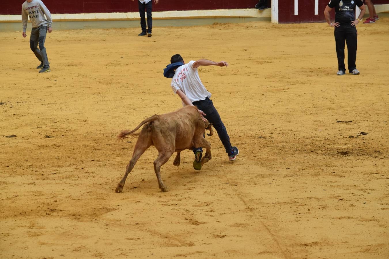 Miles de personas se dieron cita en la plaza de toros de Logroño.