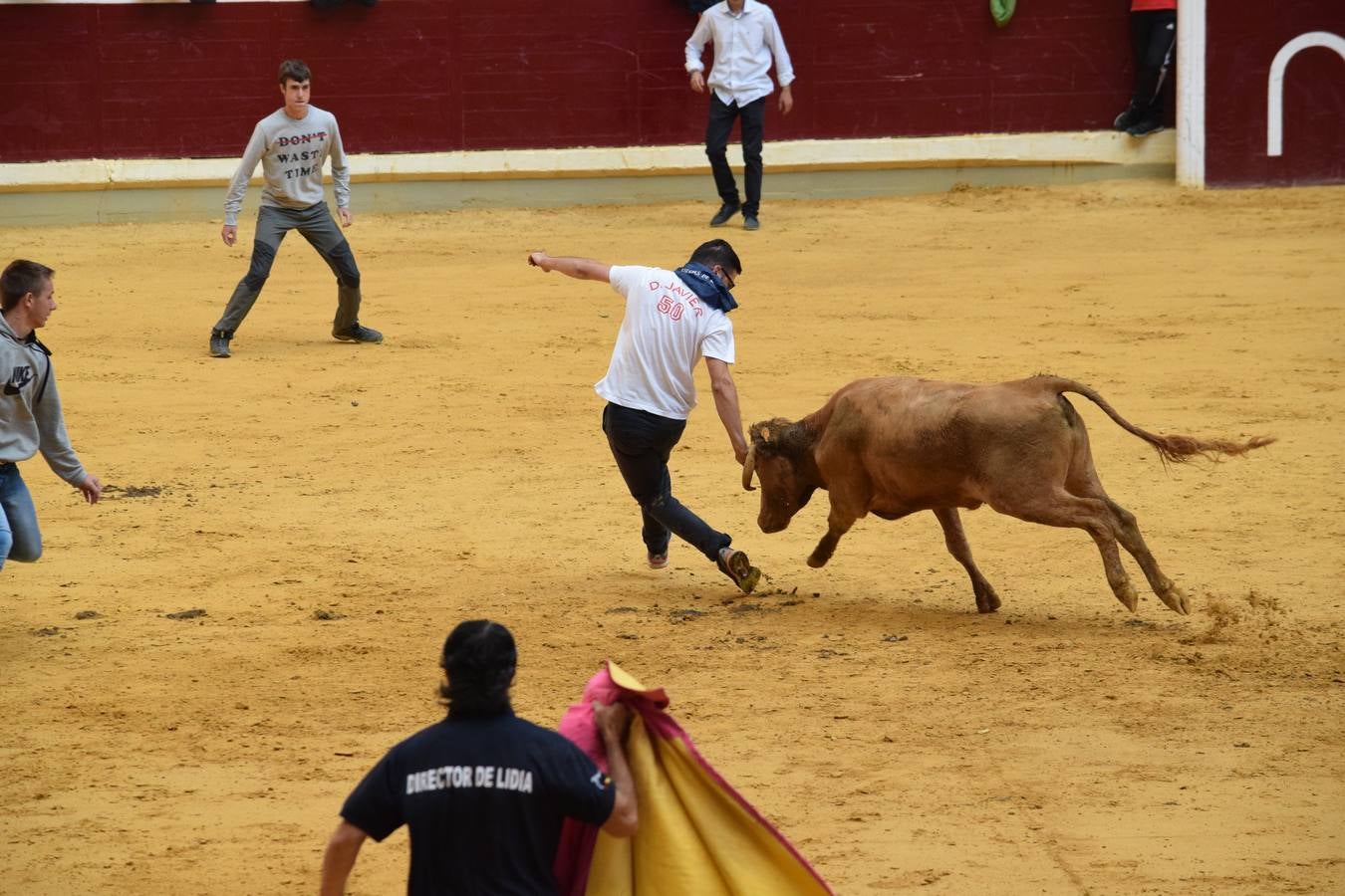 Miles de personas se dieron cita en la plaza de toros de Logroño.