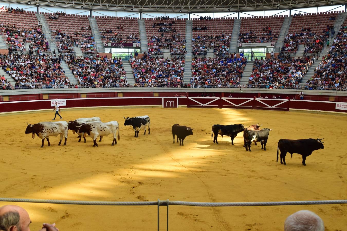 Miles de personas se dieron cita en la plaza de toros de Logroño.