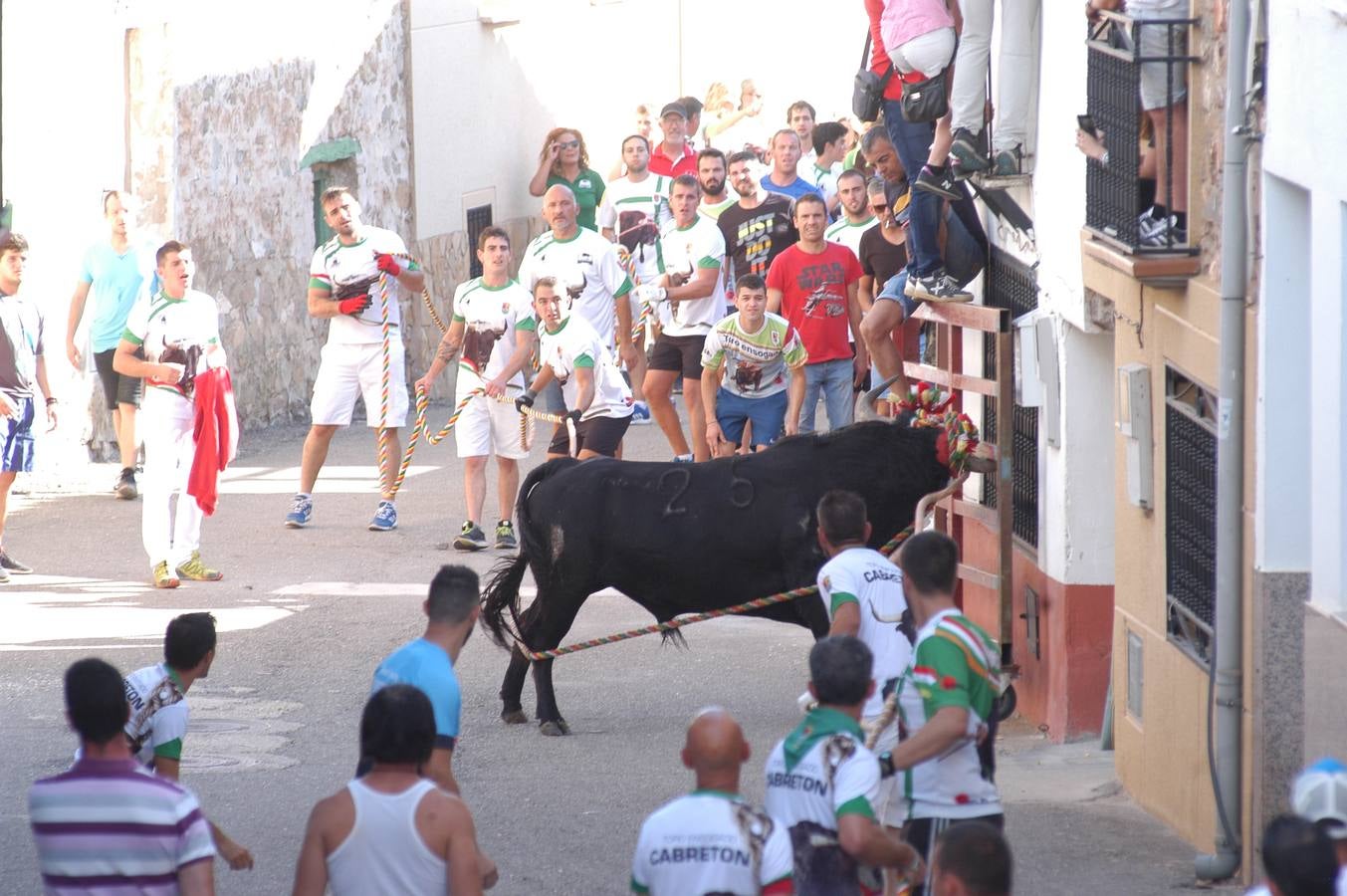 Fotos: Toros ensogados en Cabretón