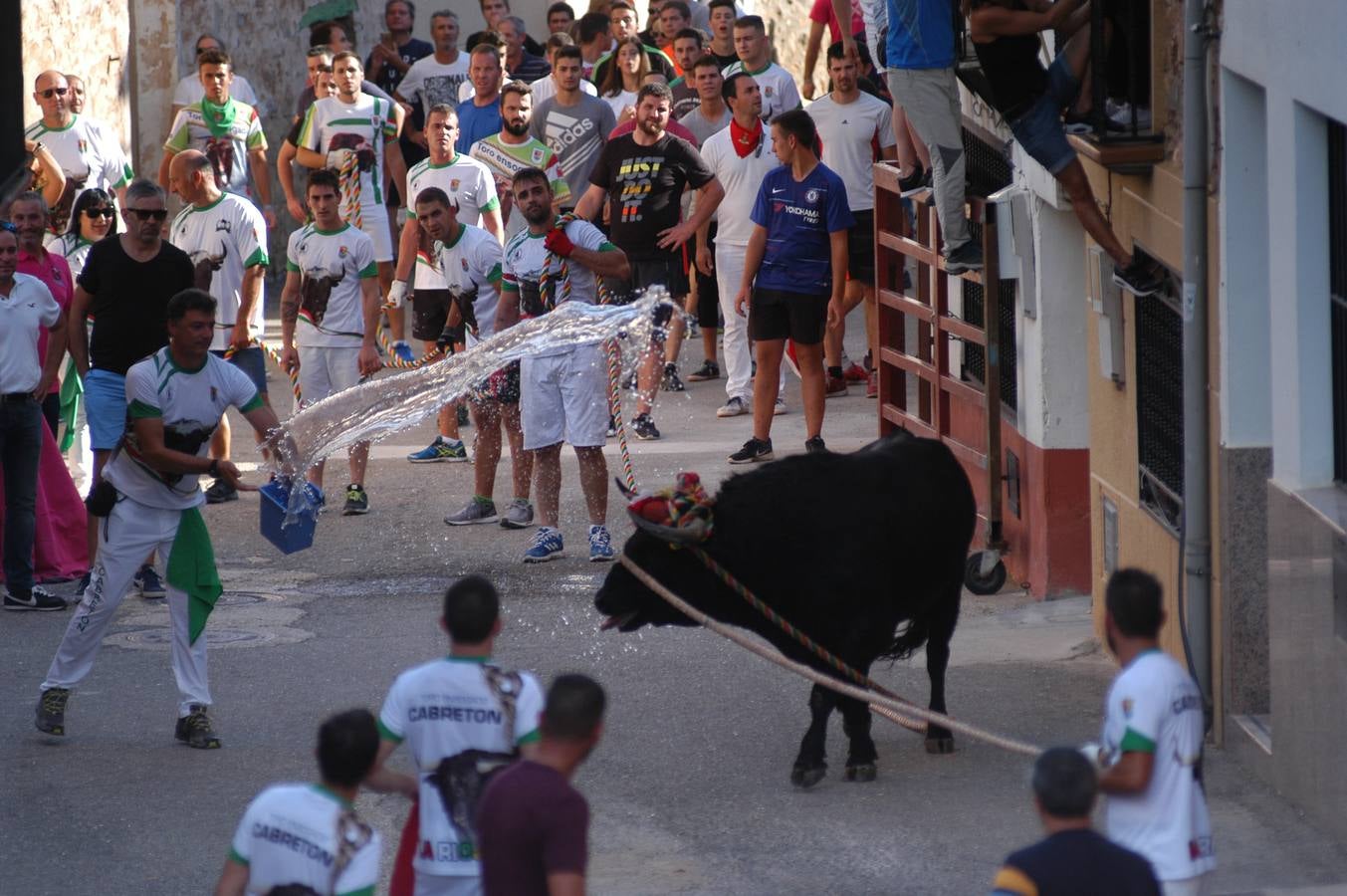 Fotos: Toros ensogados en Cabretón