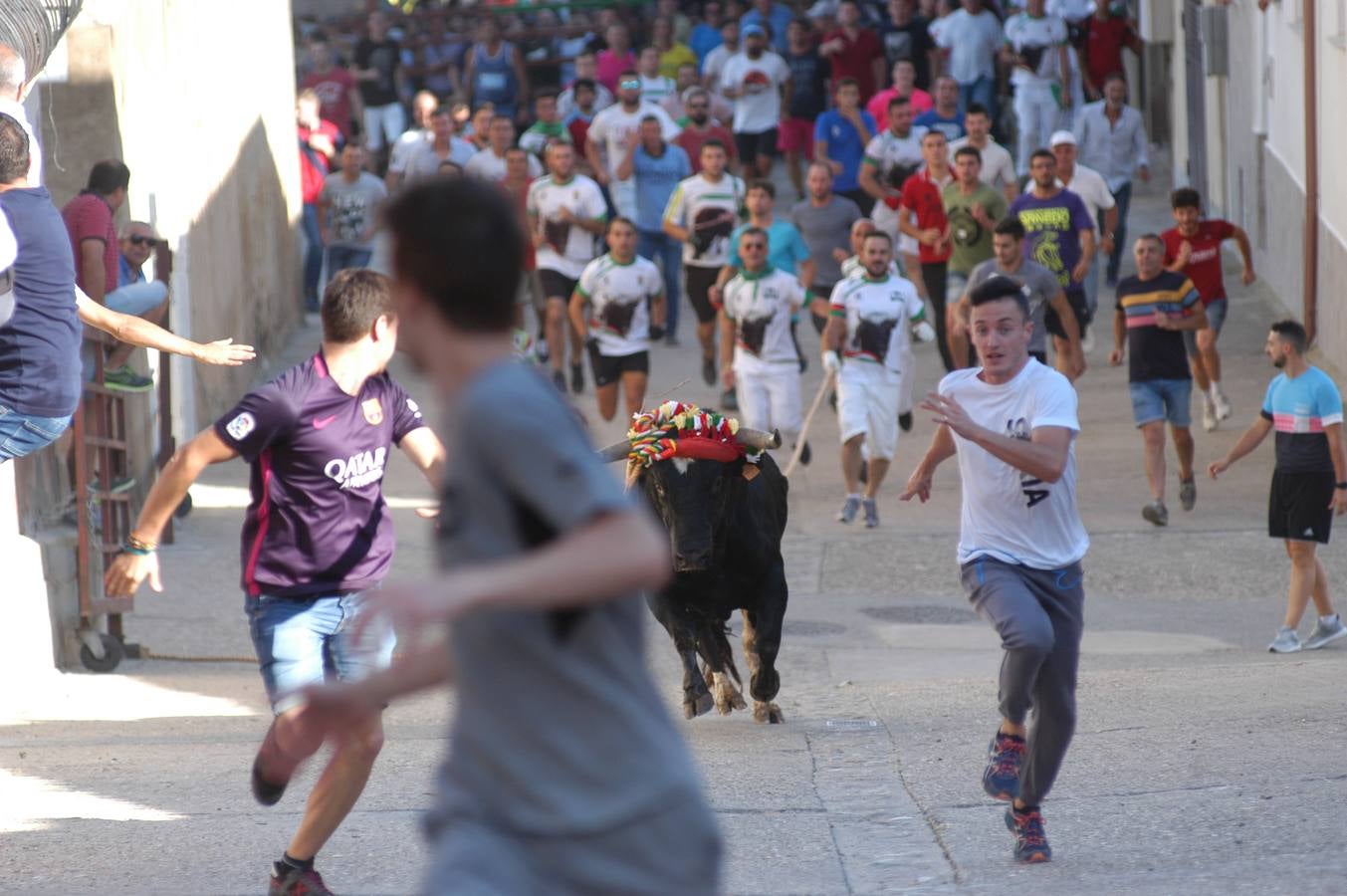 Fotos: Toros ensogados en Cabretón