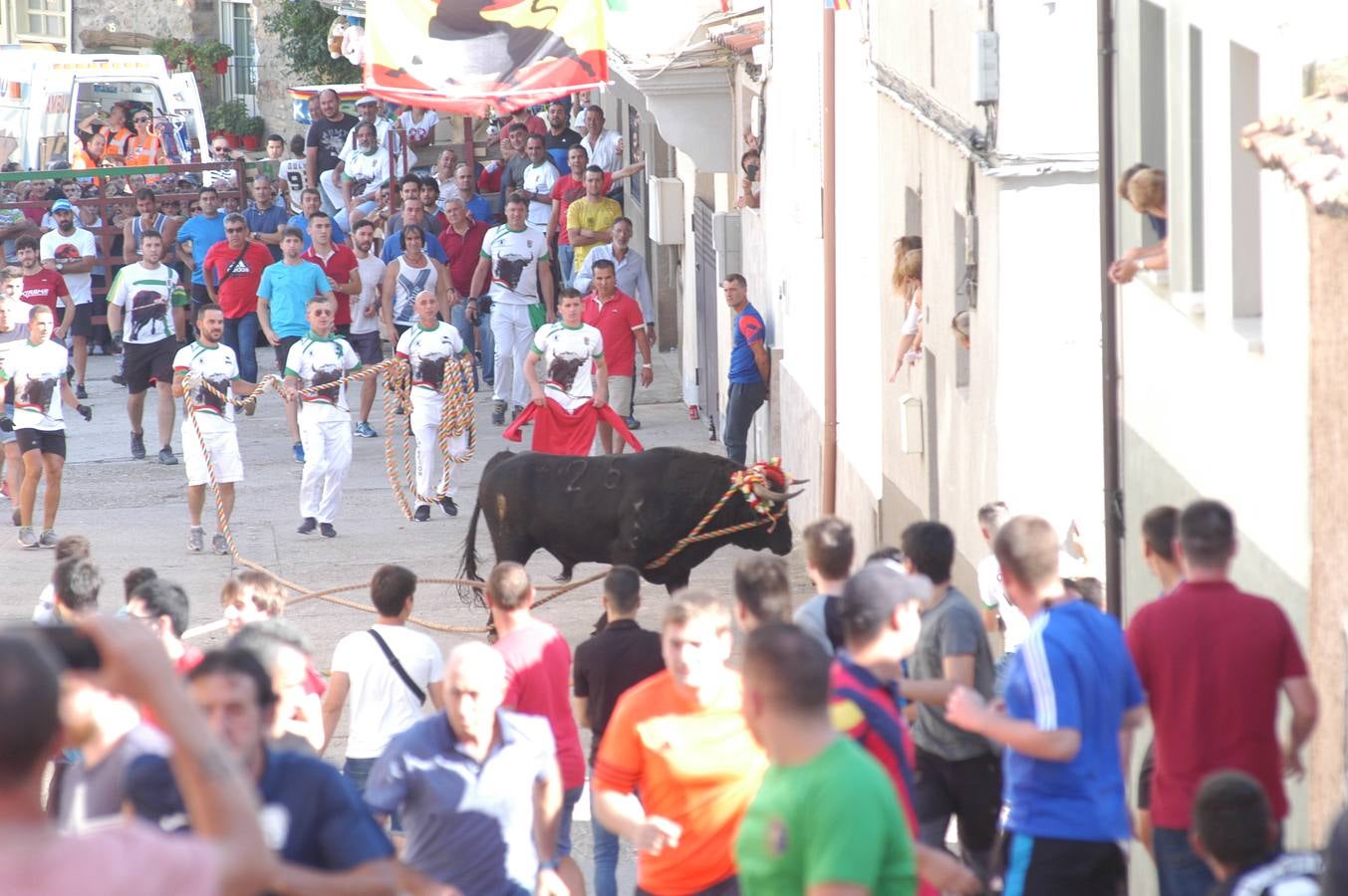 Fotos: Toros ensogados en Cabretón