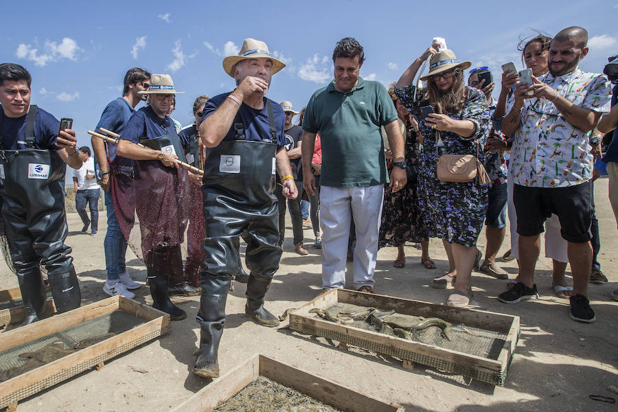 Ferrán Adriá, en primer plano.