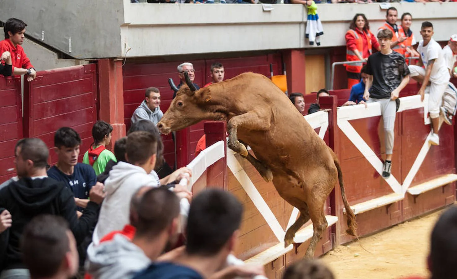 Divertido grand prix con vaquillas en La Ribera. Diversión para incondicionales desde primera hora del día.