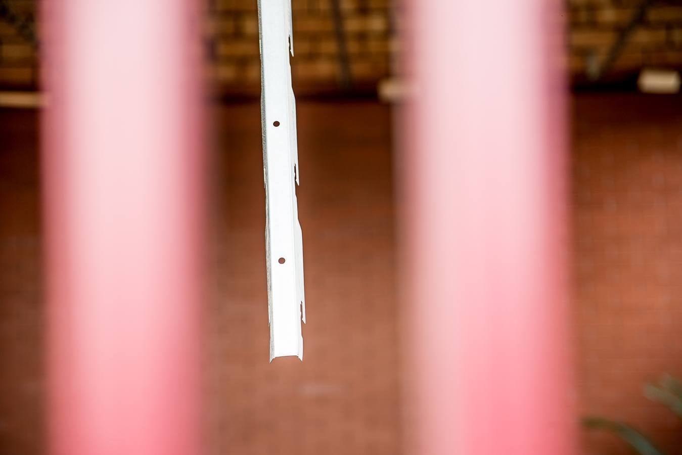 Fotos: Barro, ramas rotas y árboles caídos, las consecuencias de la tormenta