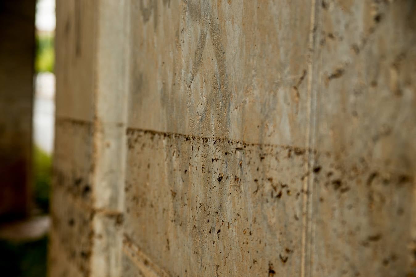 Fotos: Barro, ramas rotas y árboles caídos, las consecuencias de la tormenta