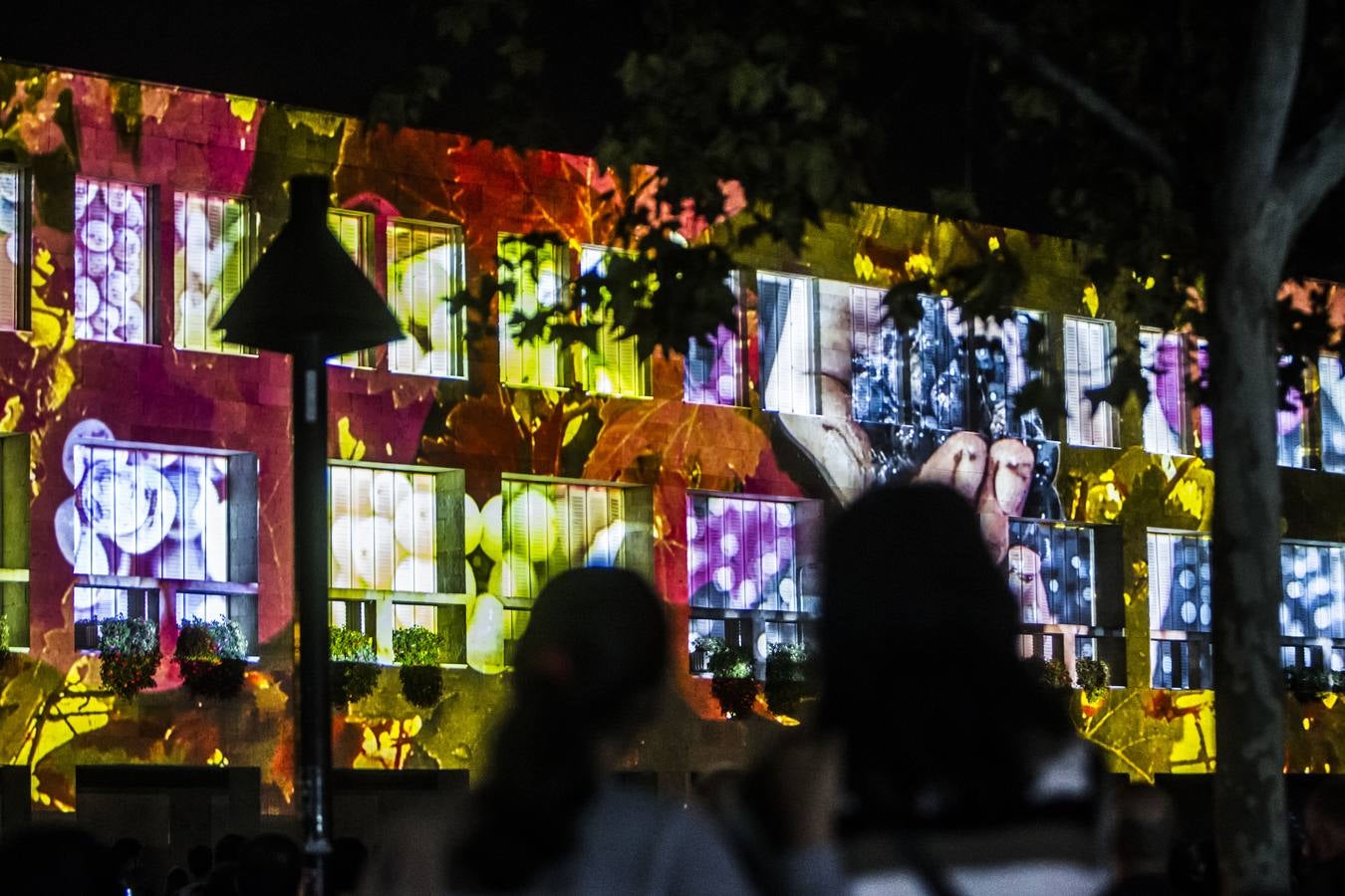 IraltaVR y Rodrigo Tamariz fueron los encargados del Video Mapping en el Ayuntamiento de Logroño este lunes 17 de septiembre