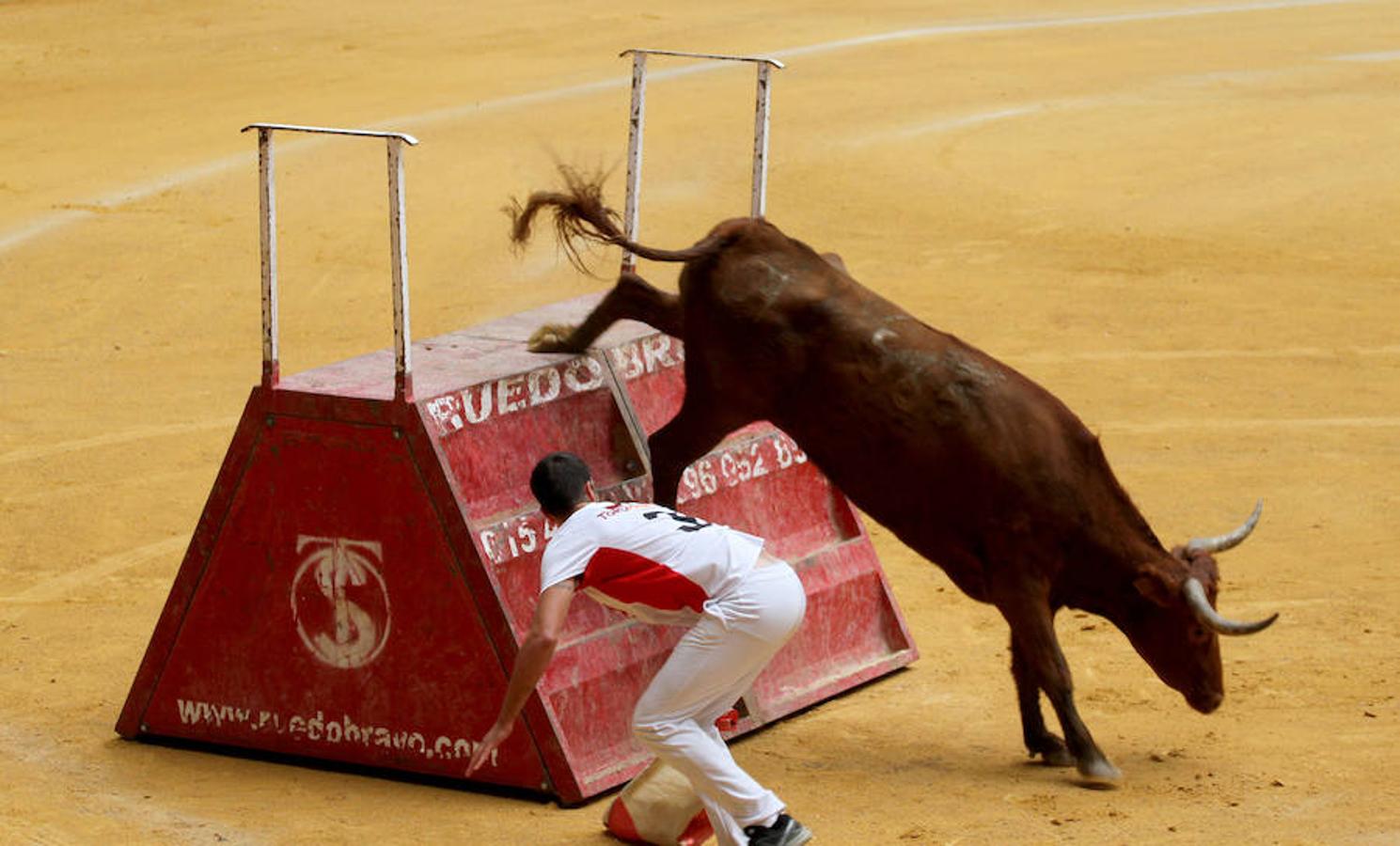 La invitación no dejaba margen para la duda: «Exhibición de bravura con obstáculos con algunas de las vacas y toros más femosos de España», con reses de la ganadrería de José Arriazu de Ablitas.