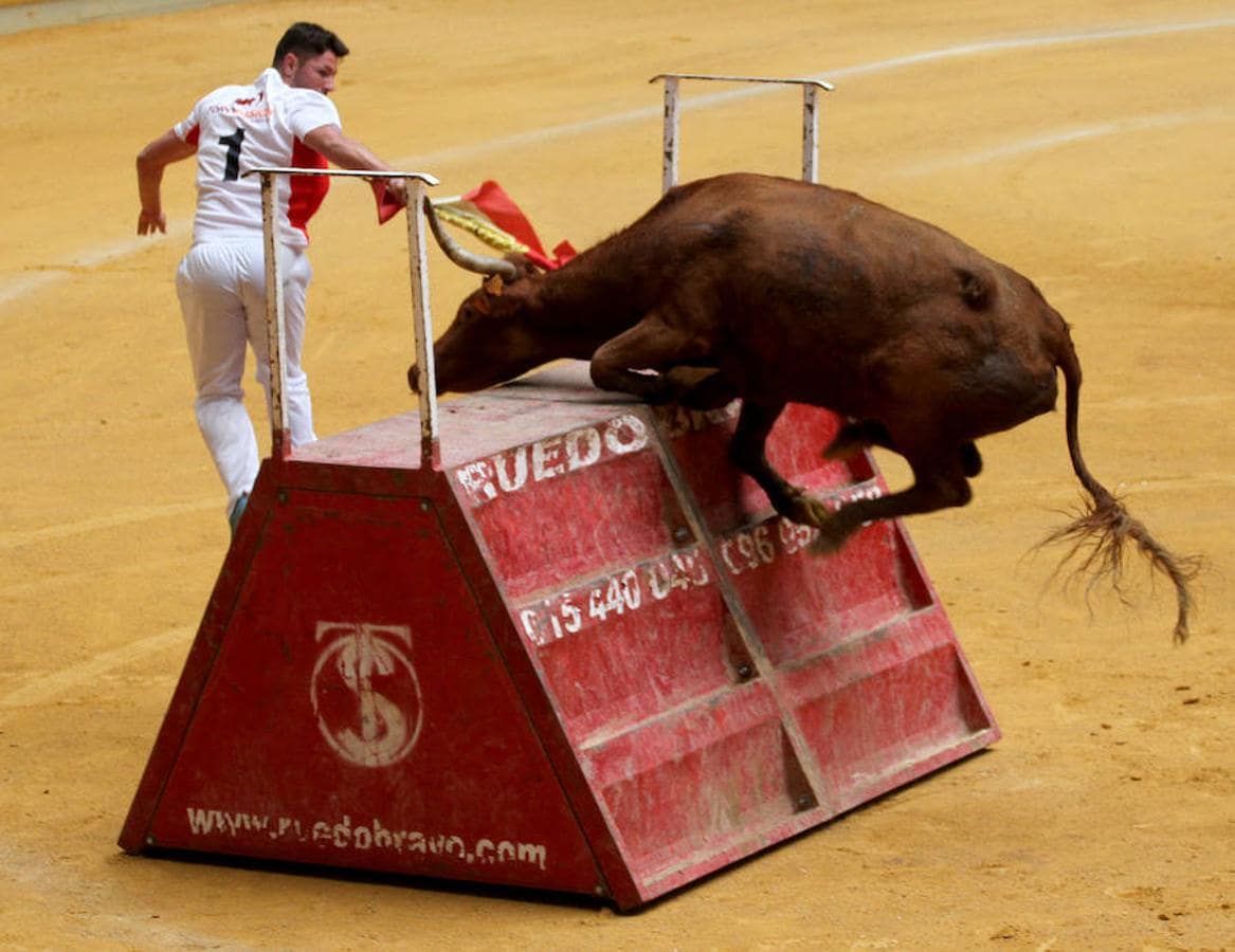 La invitación no dejaba margen para la duda: «Exhibición de bravura con obstáculos con algunas de las vacas y toros más femosos de España», con reses de la ganadrería de José Arriazu de Ablitas.