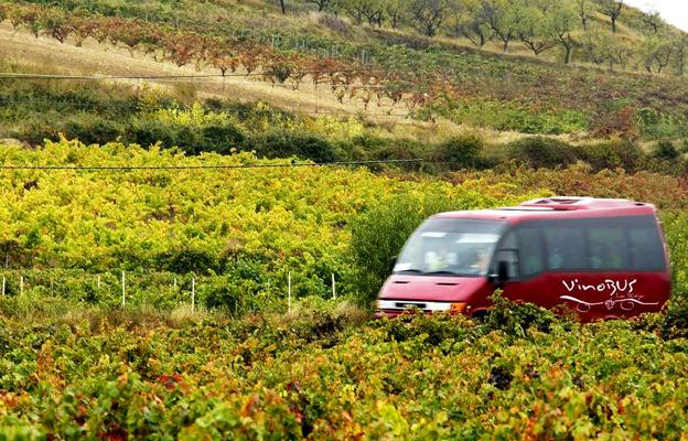 El Vinobús, entre viñas. ::