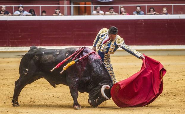 Desierto por unanimidad el V Trofeo Taurus al Mejor Toro de San Mateo