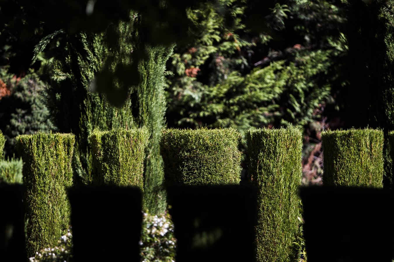 Las religiosas del convento Madre de Dios abren su casa con motivo de la Semana de la Arquitectura