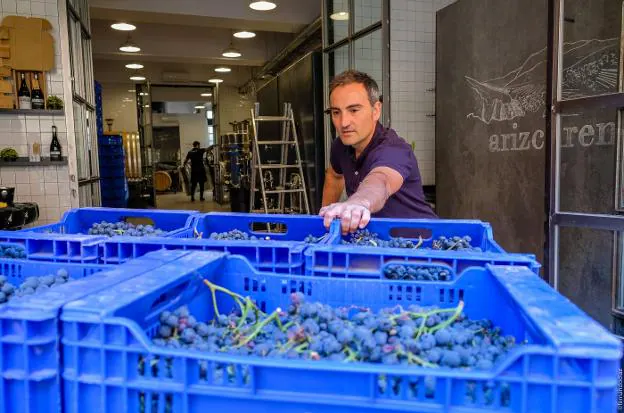 La vendimia 'urbana'. Javier Arizcuren abrió el año pasado la primera 'bodega urbana' de Logroño. En la céntrica calle Santa Isabel, vinifica estos días las uvas que trae en furgonetas refrigeradas de sus viñedos de Quel. En las imágenes, las cajas entrando en la bodega y en los depósitos tras su despalillado.  :: fernando díaz