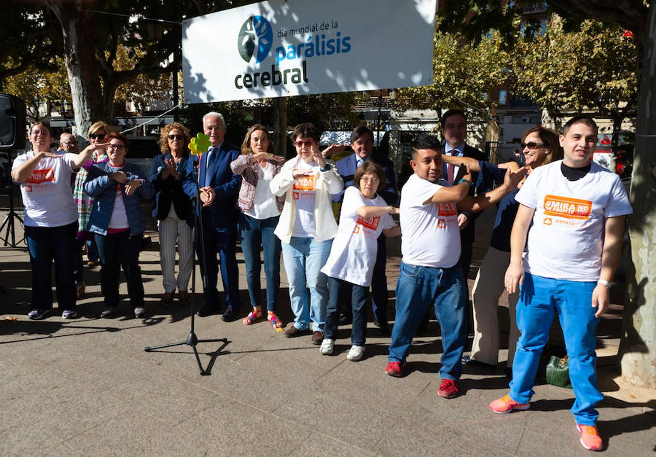 La Rioja ha abogado hoy, en el Día Mundial de la Parálisis Cerebral, por el derecho a la sexualidad y a la intimidad de estas personas bajo la campaña «No mires hacia otro lado». La presidenta de ASPACE La Rioja, Manuela Muro, ha leído el manifiesto en el que ha insistido en que esa intimidad «es algo que ellos quieren». 