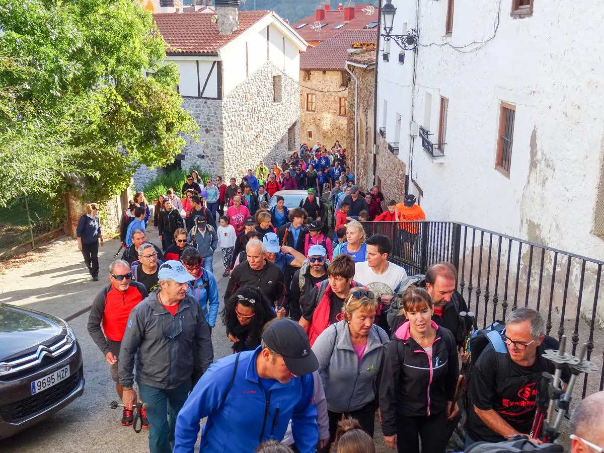 298 personas inscritas, de las que 225 tomaron la salida, y 2.982 euros recaudados. Son las cifras de la marcha senderista organizada por la peña Los Tímidos, 'Caminando, ¡por la vida!', celebrada el sábado en Ezcaray a beneficio de la Asociación Española Contra el Cáncer en La Rioja.