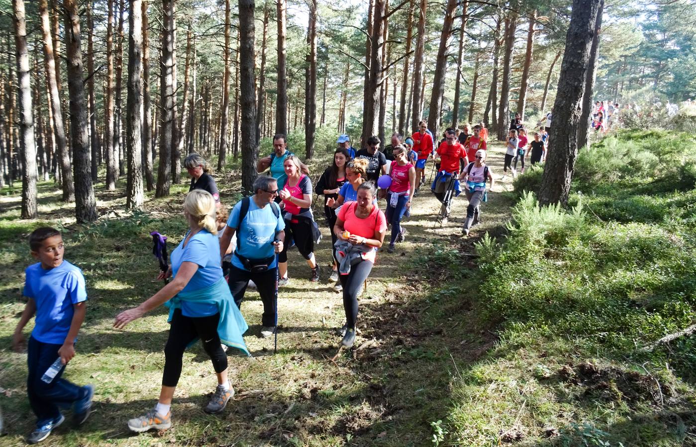 298 personas inscritas, de las que 225 tomaron la salida, y 2.982 euros recaudados. Son las cifras de la marcha senderista organizada por la peña Los Tímidos, 'Caminando, ¡por la vida!', celebrada el sábado en Ezcaray a beneficio de la Asociación Española Contra el Cáncer en La Rioja.