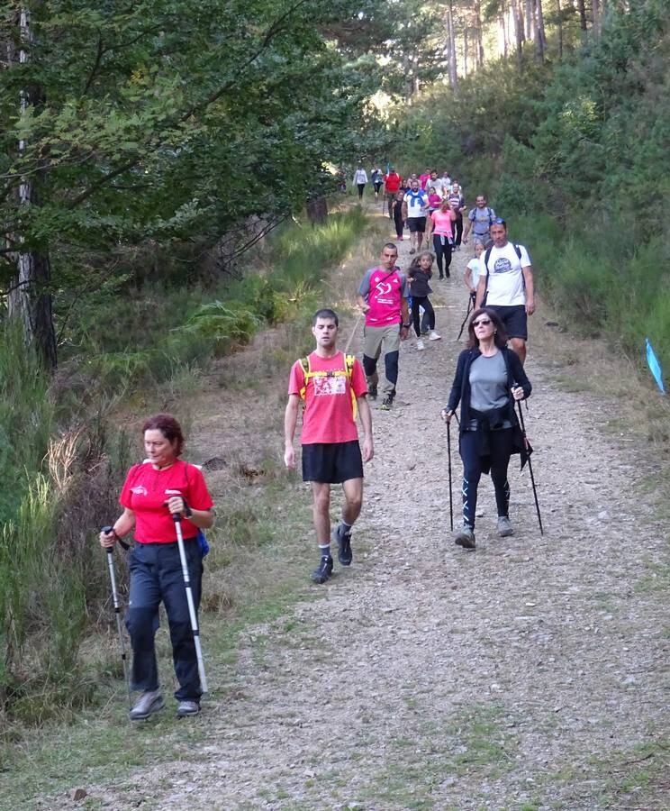 298 personas inscritas, de las que 225 tomaron la salida, y 2.982 euros recaudados. Son las cifras de la marcha senderista organizada por la peña Los Tímidos, 'Caminando, ¡por la vida!', celebrada el sábado en Ezcaray a beneficio de la Asociación Española Contra el Cáncer en La Rioja.