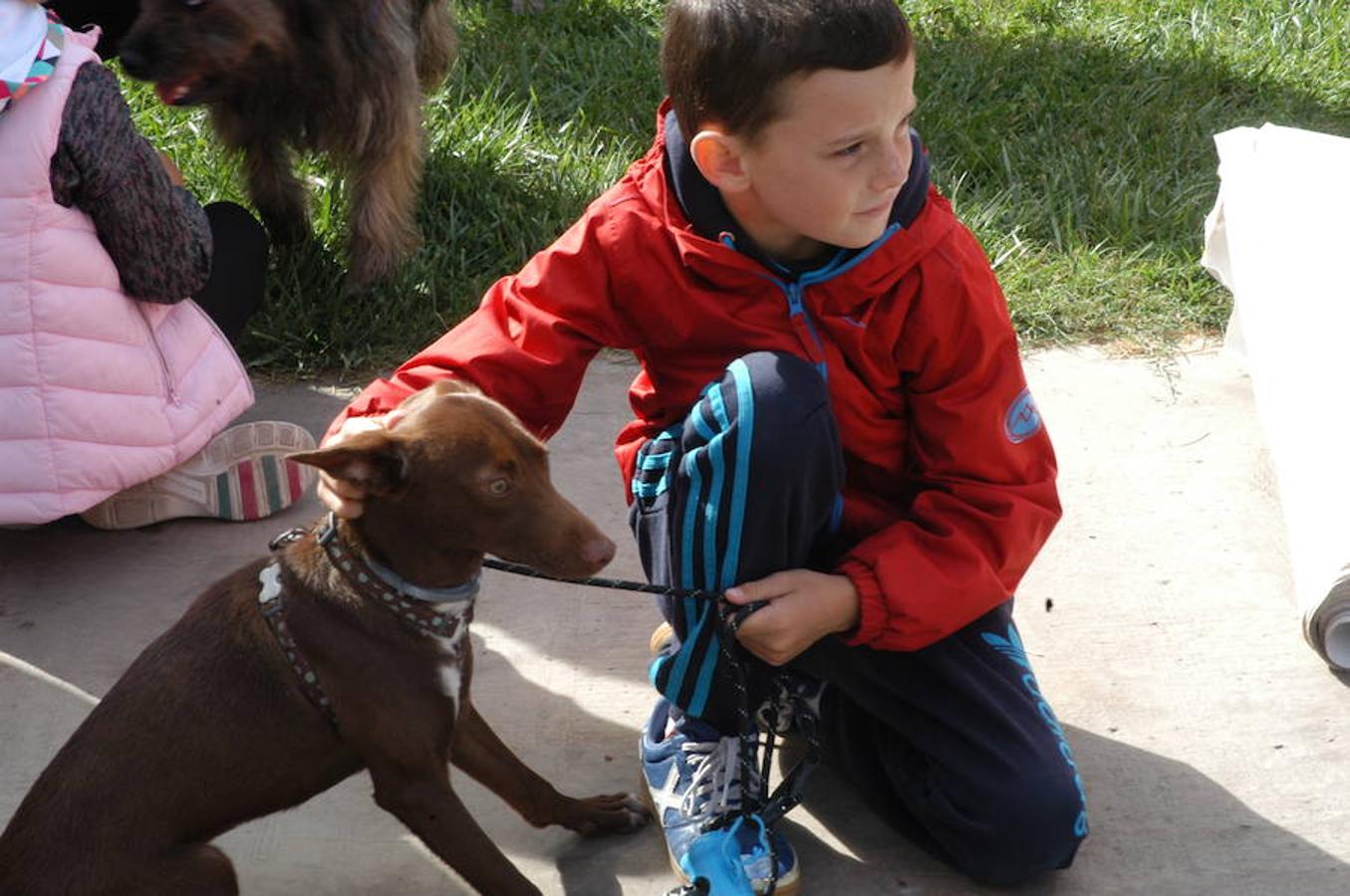 En Autol presumieron de mascota los orgullosos propietarios en una quedada divertida para todos.