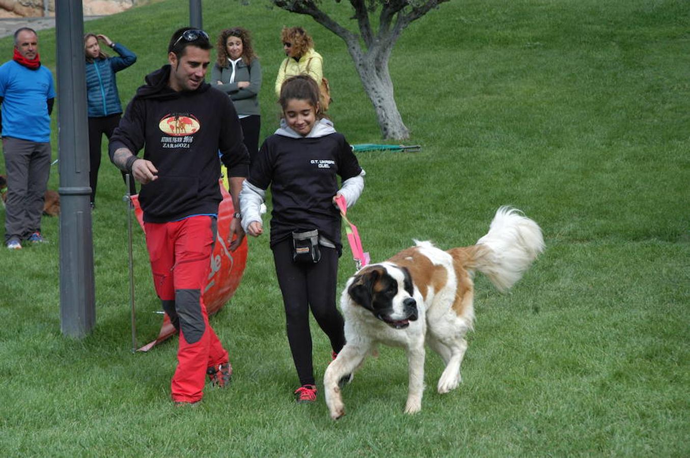 En Autol presumieron de mascota los orgullosos propietarios en una quedada divertida para todos.