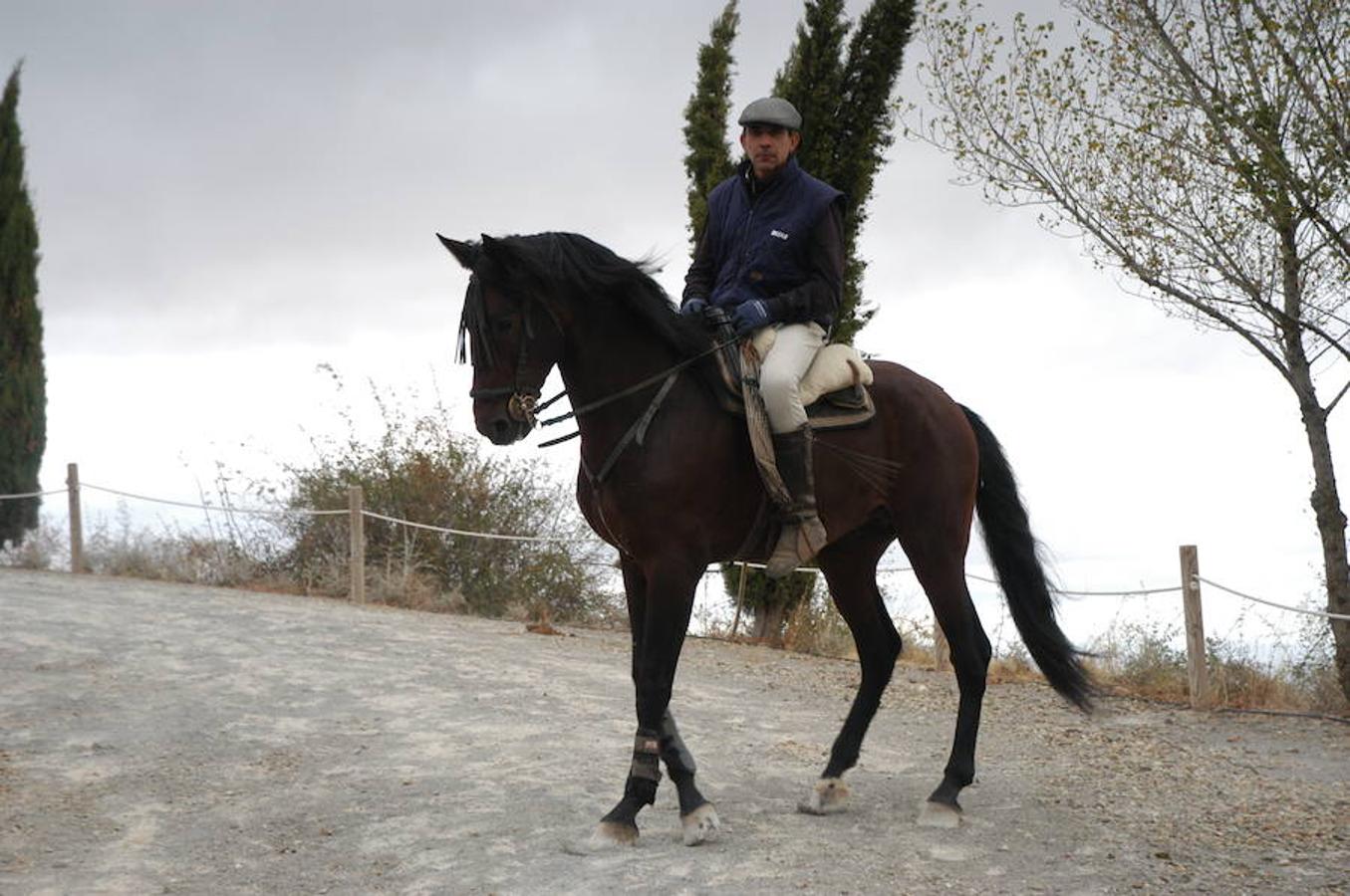 Imágenes correspondientes a la VII ruta ecuestre de Ocón celebrada el pasado domingo.