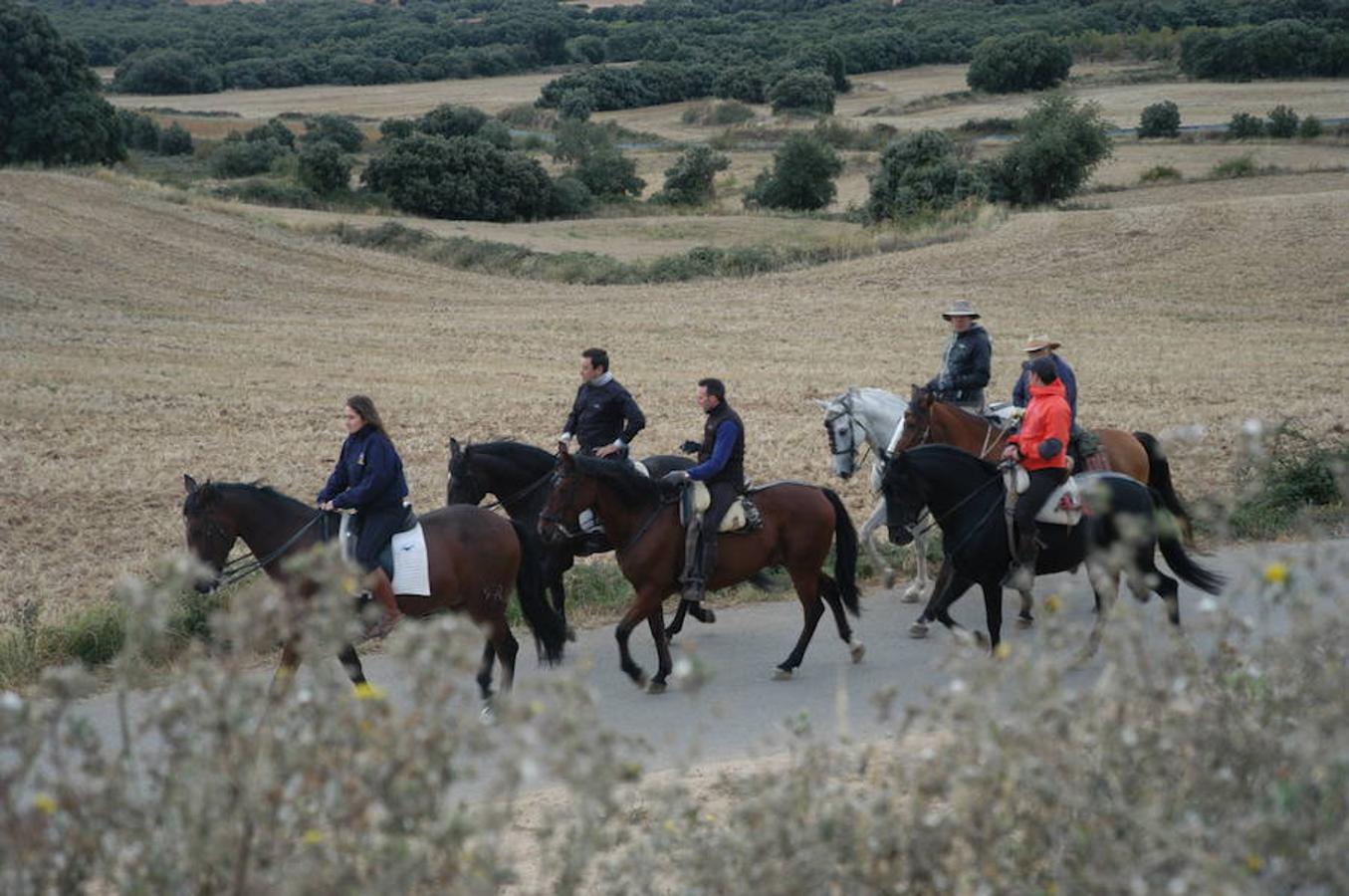 Imágenes correspondientes a la VII ruta ecuestre de Ocón celebrada el pasado domingo.